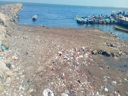 Thoothukudis Coovam Buckle Stream - Gulf of Mannar polluted by sewage தூத்துக்குடியின் கூவம் பக்கிள் ஓடை - கழிவுநீரால் மாசாகும் மன்னார் வளைகுடா