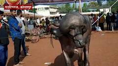 Majha Gaon Majha Jilha : माझं गाव माझा जिल्हा : 14 डिसेंबर 2021 : ABP Majha