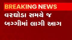 પંચમહાલઃ વરઘોડા સમયે જ બગ્ગીમાં આગ લાગી, જુઓ ગુજરાતી ન્યુઝ