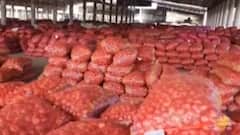 રાજકોટઃ ગોંડલ માર્કેટયાર્ડ ઊભરાયું વિવિધ જણસથી, રોજ કેટલી બોરીની થાય છે આવક?