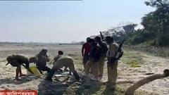 Buxa Forest: বক্সার জঙ্গলের ভিতরে বাঘের আরও পায়ের ছাপ,আপতত বন্ধ জঙ্গল সাফারি | Bangla News