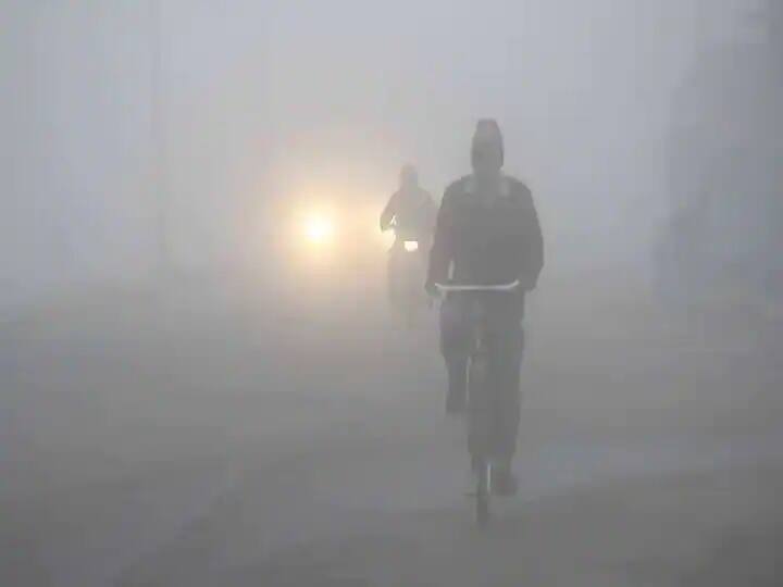 Bihar Weather Forecast: Cold in Bihar due to westerly wind, temperature below ten degrees in Banka, Sitamadhi, Gopdalganj and many districts ann Weather Forecast: पछुआ हवा से बिहार में बढ़ी ठंड, कई जिलों में दस डिग्री के नीचे तापमान, जानें आज कैसा होगा मौसम