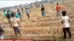 Ilambazar: ছাগলে ধান খেয়ে নেওয়াকে ঘিরে দুই গ্রামের সংঘর্ষে রণক্ষেত্র ইলামবাজার| Bangla News