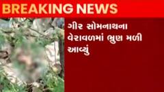 ગીરસોમનાથ: વેરાવળના પોશ વિસ્તારમાંથી ભ્રુણ મળ્યું, જુઓ ગુજરાતી ન્યુઝ
