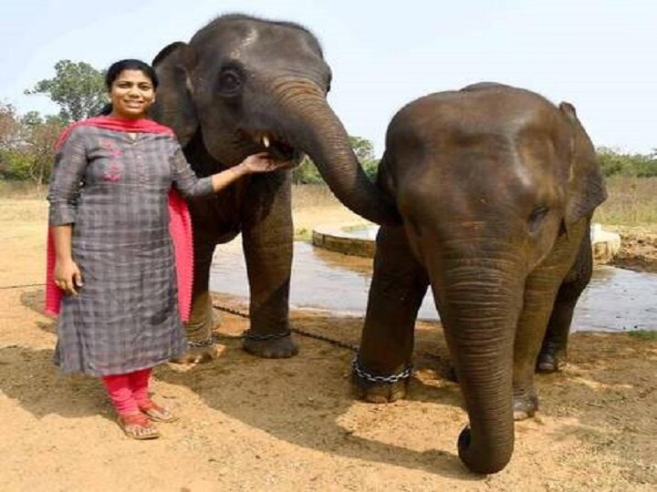 தமிழ்நாடு மாநில திட்டக்குழுவில் இணையும் வனத்துறை அதிகாரி.. யார் இந்த சுதா ராமன் IFS?