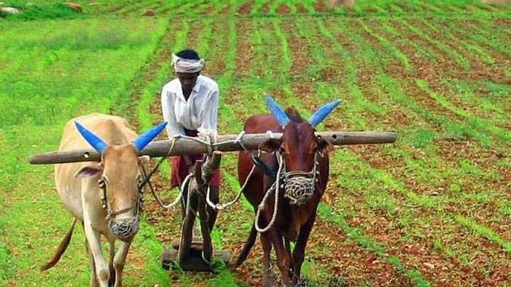 केंद्र सरकार इस स्कीम के तहत किसानों को सालाना 6000 रुपये की आर्थिक सहायता देती है. इस पैसे को सरकार तीन किस्तों के रुप में देती है. यानी आपको 4-4 महीने के अंतर पर 2000 रुपये की राशि मिलती है. ये पैसा सीधे आपके बैंक खाते में ट्रांसफर किया जाता है.