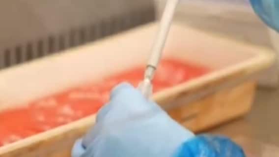 બ્રિટનમાં ઓમિક્રોન વેરિયન્ટથી એકનું મોત, પ્રધાનમંત્રી બોરિસ જોન્સને કરી પુષ્ટી