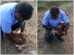 Watch: शख्स ने मुंह से सांस देकर बचाई बंदर की जान, सोशल मीडिया पर वायरल हुआ वीडियो