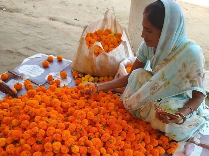 Jharkhand: फूलों की खेती कर महिलाएं बन रही हैं आत्मनिर्भर, जानें- बड़ी बात Jharkhand Women earning more profit by marigold flower farming Jharkhand: फूलों की खेती कर महिलाएं बन रही हैं आत्मनिर्भर, जानें- बड़ी बात