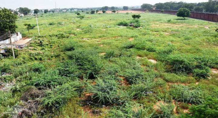 திருச்சி பஞ்சப்பூர் ஒருங்கிணைந்த பேருந்து நிலையம் அமையும் இடத்தை சீர் செய்யும் பணிகள் தீவிரம்