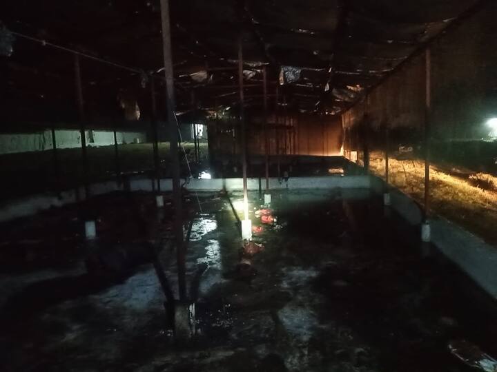कर्मचारियों ने फार्म में पानी और नली से आग बुझाने की कोशिश भी की, लेकिन आग ज्यादा होने के कारण वो उसे काबू नहीं कर पाए. इलेक्ट्रिक बोर्ड में शॉर्ट सर्किट होने के कारण ये आग लगी थी.