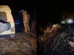 Chhattisgarh News: कोरबा जिले में पहुंचा 43 हाथियों का दल, वन विभाग दिन-रात कर रहा पहरेदारी