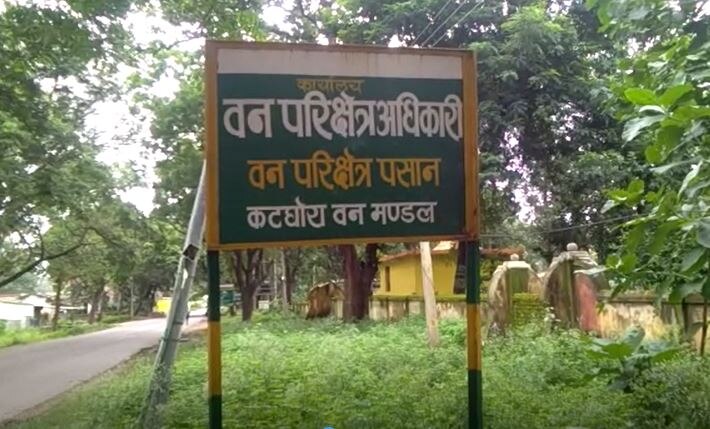 Chhattisgarh News: कोरबा जिले में पहुंचा 43 हाथियों का दल, वन विभाग दिन-रात कर रहा पहरेदारी