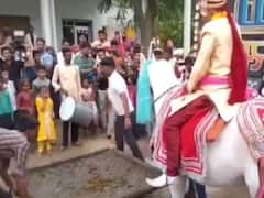 Watch: मंडप पहुंचने से पहले ही दूल्हे को लेकर भाग गई घोड़ी! देखते रह गए बाराती