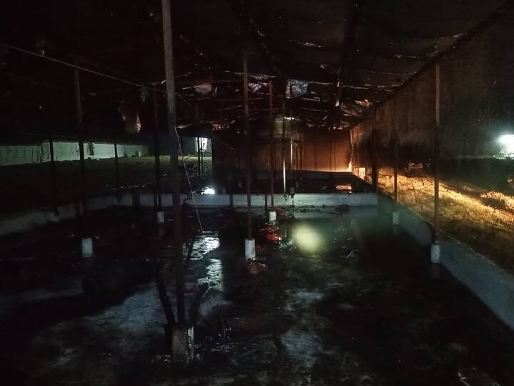 वहीं फार्म मालिक विक्रम सिंह ने बताया कि आग लगने के बाद जल्दी से कर्मचारियों ने पिंजरे खोलकर मुर्गियों और चूजों को बाहर निकाला लिया. लेकिन तबतक आग ज्यादा बढ़ने से करीब 5 हजार मुर्गियां और चूजे जल चुके थे.