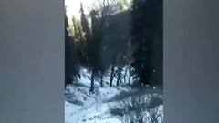 Headlines in fatafat style | 15 Dec 2021