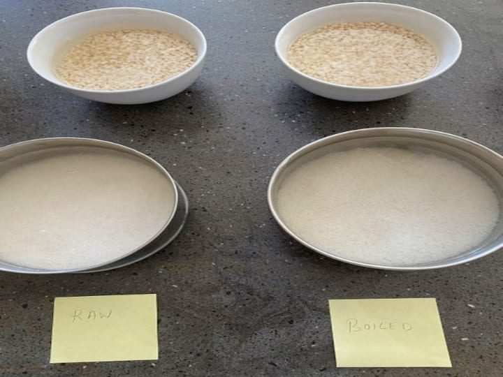 Food reviewer and Blogger Shewta Sivakumar does experiment with Par boiled rice and Raw rice Batter for Idli and Dosa பச்சரிசியா? புழுங்கல் அரிசியா? இட்லி தோசைக்கு எது சிறந்தது? மென்மையும், மொறுமொறுப்பும் தருவது எது?