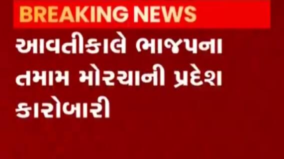 અમદાવાદમાં આવતીકાલે પ્રદેશ ભાજપની કારોબારી બેઠક, જુઓ ગુજરાતી ન્યુઝ