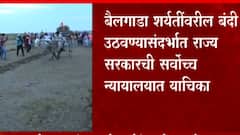 Maharashtra Bull Race: बैलगाडा शर्यतीवरील बंदी उठवण्यासंदर्भात राज्य सरकारची याचिका ABP Majha