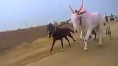 Smart Bulletin : स्मार्ट बुलेटिन : 15 डिसेंबर 2021 : बुधवार : एबीपी माझा