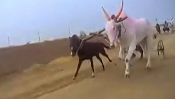 Smart Bulletin : स्मार्ट बुलेटिन : 15 डिसेंबर 2021 : बुधवार : एबीपी माझा