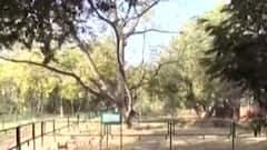 રાજ્યના શિક્ષણ વિભાગે તમામ કોલેજ અને યુનિવર્સીટીમાં પ્રાકૃતિક ખેતી માટે આદેશ કર્યો,જુઓ ગુજરાતી ન્યુઝ