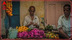 Flower Rates Hike : आवक घटली, फुलं महागली, फुलांचे भाव वधारल्यानं ग्राहकांना फटका