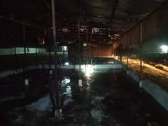 Udaipur news: पोल्ट्री फार्म में शॉर्ट सर्किट से लगी आग, पांच हजार मुर्गियों और चूजों की मौत