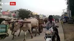 ఇసుక తరిలిస్తున్న ఎడ్ల బండ్లు స్టేషన్ లో పెట్టిన చంద్రగిరి పోలీసులు..!