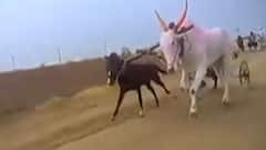 Smart Bulletin : स्मार्ट बुलेटिन : 15 डिसेंबर 2021 : बुधवार : ABP Majha