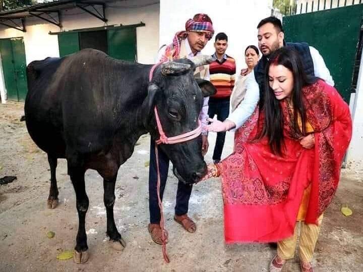 tejashwi Yadav Wedding: tejashwi's wife rachel godinho involved in doing rituals in patna, gave jaggery to cow ann Tejashwi Yadav Wedding: ससुराल आते ही रीति रिवाज निभाने में जुटीं लालू की बहू 'राजश्री', गाय को दिया गुड़, तेजस्वी भी थे साथ