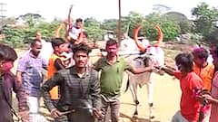 Bailgada sharyat :सर्वोच्च न्यायालयाची बैलगाडा शर्यतींना परवानगी,7 वर्षानंतर शर्यतीचा धुरळा उडणार