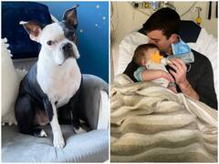 Trending Story: पालतू डॉगी ने बचाई बीमार बच्ची की जान, मां बोली- हम कुत्ते के लायक नहीं