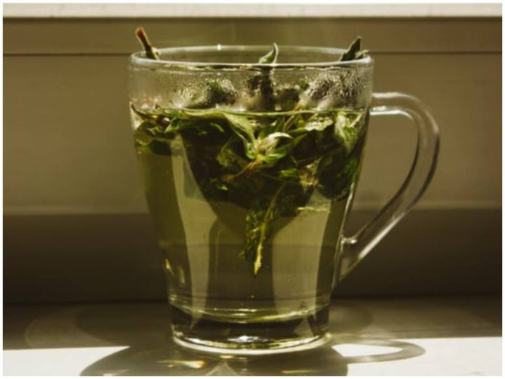 Bay Leaf Tea Health Benefits Helps In Weight Loss Reduce Belly Fat Good For Heart And Diabetics Weight Loss Tea: तेज पत्ता की चाय से कम होगा वजन, डायबिटीज और हार्ट के मरीजों के लिए भी है फायदेमंद