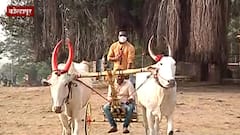 Kolhapur :राज्यात बैलगाडा शर्यतीला सशर्त परवानगी,बैलगाडा मालकांना कोर्टाचा दिलासा Abp Majha