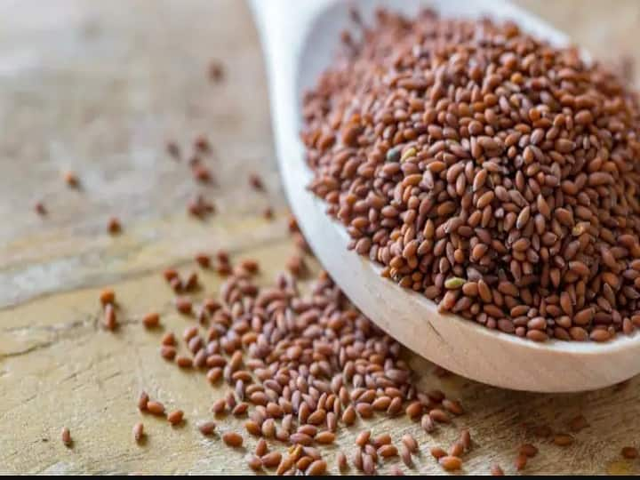 Halim Seeds Benefits in tamil, Why You Must Add Aliv To Your Diet Aliv Health Benefits: உடல் நன்மைக்காக மேஜிக் செய்யும் ஆளி விதைகள்... பலன்கள் என்னென்ன? முழு விவரம்..