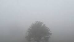 નવસારીઃ વાસંદામાં ગાઢ ધુમ્મસને કારણે સર્જાયું નયનરમ્ય વાતાવરણ, વાહનવ્યવહાર ખોરવાયો