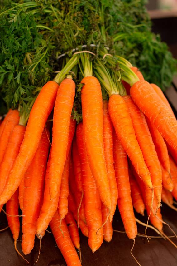 Benefits of Carrot  | டெய்லி ஒரு கேரட் சாப்பிடுங்க.. அதில் இருக்கு இவ்வளவு நன்மைகள்..!