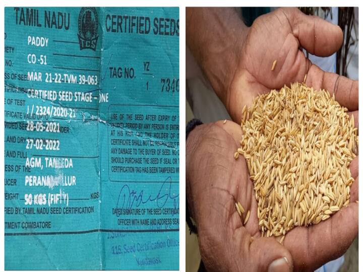 Farmers allege that Co51 seed paddy in the agricultural center is not capable of germination ABP Nadu exclusive: வேளாண் மையத்தில் உள்ள கோ 51 ரக விதை நெல் முளைப்பு திறன் இல்லை - விவசாயிகள்