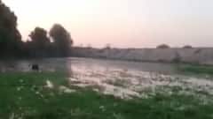 બનાસકાંઠાઃ ભાભરના ઋણીથી ચેમ્બુવા જતી માઈનોર કેનાલમાં ગાબડુ, ખેતરોમાં ફરી વળ્યા પાણી