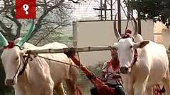 TOP 50 : रात्रीच्या महत्त्वाच्या 50 बातम्यांचा वेगवान आढावा : 16 डिसेंबर : बातम्यांचं अर्धशतक