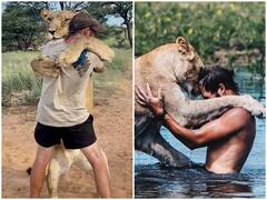 Watch: सोशल मीडिया पर शेरनी और युवक की दोस्ती के कायल हुए यूजर्स, मिल रहे प्यारे रिएक्शन