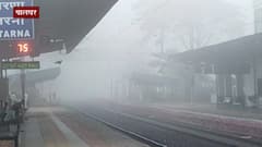 Palghar Fog : पालघरमध्ये दाट धुक्याची चादर,धुक्यामुळे रेल्वे वाहतुकीवर परिणाम ABP MAJHA