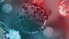 Omicron: কেরলে আরও ৪ ওমিক্রন আক্রান্তের হদিশ | Bangla News