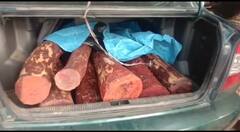 NELLORE REDSANDAL: నెల్లూరులో పుష్ప ఛేజింగ్ సీన్.. మామూలుగా లేదు..