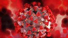 Omicron : राज्यात आजही ओमायक्रॉनच्या आठ रुग्णांची नोंद, एकूण रुग्णसंख्या 48