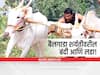 Bail Gada Sharyat : बैलगाडा शर्यतीवरील बंदी आणि सात वर्षांचा लढा!- वाचा आतापर्यंत काय काय घडलं...