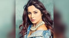 Shehnaaz Gill Net Worth: বিলাসবহুল বাড়ি-গাড়ি থেকে হাই প্রোফাইল জীবনযাপন! কত টাকার সম্পত্তি রয়েছে শেহনাজ গিলের?