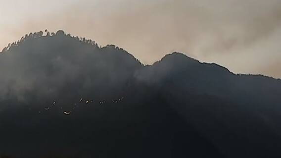 Uttarakhand: बड़कोट के जंगलों में लगी भीषण आग, सर्दी के मौसम में भी सुलग रहा जंगल| Hindi News
