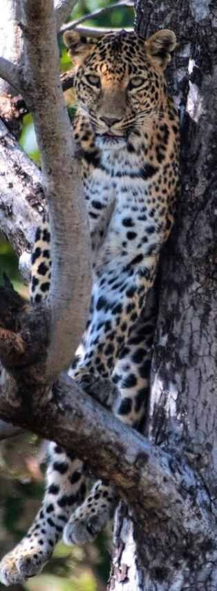 சதா எடுத்த புகைப்படம்